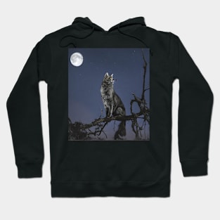 Who stole the night? Hoodie